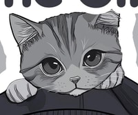 undefined with dims of 605x508 and size of 246.78 KB
