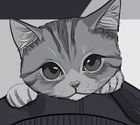 undefined with dims of 277x247 and size of 77.98 KB