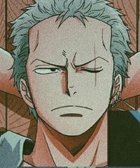 Profile picture (zoro anime pfp one eye) with dims of 233x281 and size of 126.17 KB