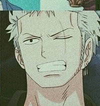 Profile picture (zoro anime pfp one eye) with dims of 205x218 and size of 78.31 KB