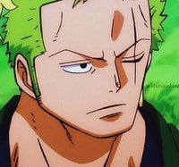 Profile picture (zoro anime pfp one eye) with dims of 498x466 and size of 354.48 KB