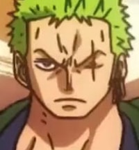 Profile picture (zoro anime pfp one eye) with dims of 220x239 and size of 65.99 KB