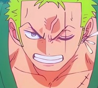Profile picture (zoro anime pfp one eye) with dims of 322x291 and size of 122.39 KB