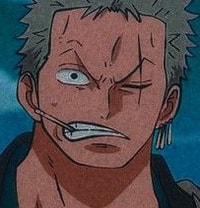 Profile picture (zoro anime pfp one eye) with dims of 203x212 and size of 79.66 KB