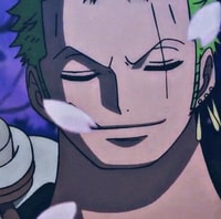 Profile picture (zoro anime pfp one eye) with dims of 500x497 and size of 351.98 KB
