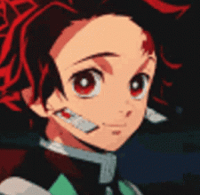 Profile picture (tanjiro anime pfp) with dims of 225x220 and size of 26.50 KB