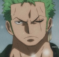 Profile picture (zoro anime pfp one eye) with dims of 514x491 and size of 334.86 KB