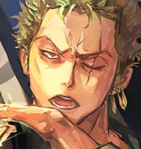 Profile picture (zoro anime pfp one eye) with dims of 232x247 and size of 101.05 KB