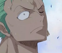 Profile picture (zoro anime pfp one eye) with dims of 327x281 and size of 68.25 KB