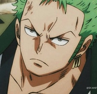 Zoro pfp profile pictures category