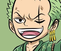 Profile picture (zoro anime pfp one eye) with dims of 338x282 and size of 101.19 KB