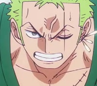 Profile picture (zoro anime pfp one eye) with dims of 351x311 and size of 146.79 KB