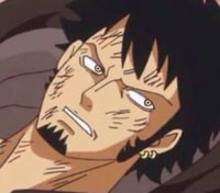 Profile picture (zoro anime pfp one eye) with dims of 288x254 and size of 84.16 KB