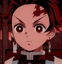 Profile picture (tanjiro anime pfp) with dims of 316x331 and size of 110.29 KB