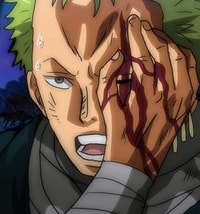 Profile picture (zoro anime pfp one eye) with dims of 308x330 and size of 146.59 KB