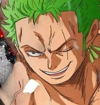 Profile picture (zoro anime pfp one eye) with dims of 303x319 and size of 164.10 KB