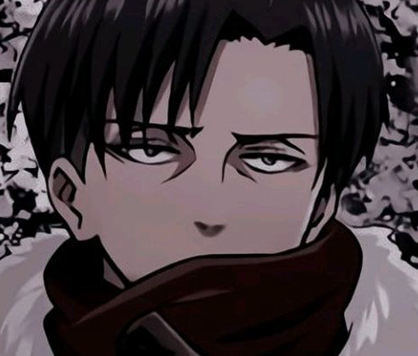 Profile picture (levi ackerman anime pfp) with dims of 469x400 and size of 179.66 KB